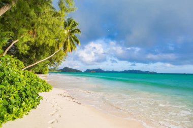 Seychelles Adaları'nın kıyısında güzel egzotik Plajı.