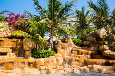 Güzel avuç içi park Dubai