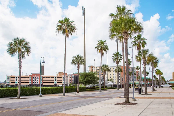 Gorgeous City Street View Empty Street Palms Side — Stock Photo, Image