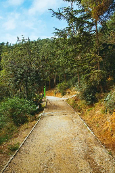 Views from the beautiful park on the hill located in Barcelona, Spain.