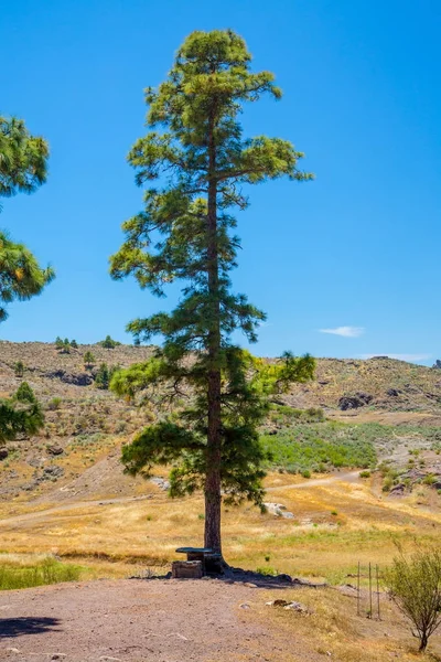 Belle vue sur la nature sur Gran canaria — Photo