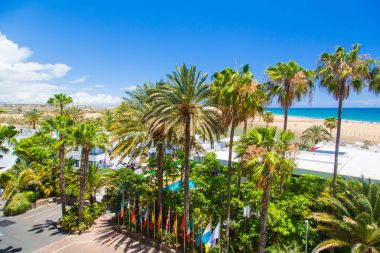 Güzel lüks Palm Beach resort avuç içi, bahçeleri ve Maspalomas dunes Gran Canaria ada arkasında.