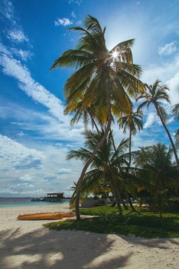 Güzel Cennet plaj tropikal bir adada