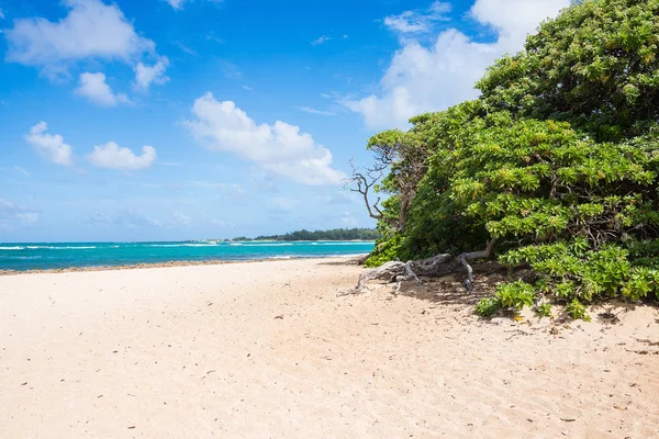 Assolutamente Incredibile Bella Spiaggia Dorata Dall Oceano Pacifico All Isola — Foto Stock