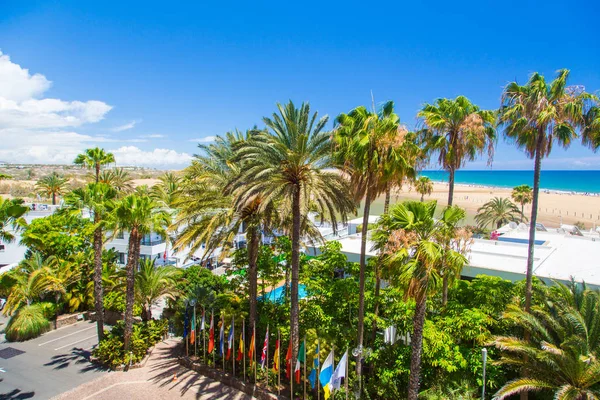 Hermoso Complejo Lujo Palm Beach Con Palmeras Jardines Dunas Maspalomas — Foto de Stock