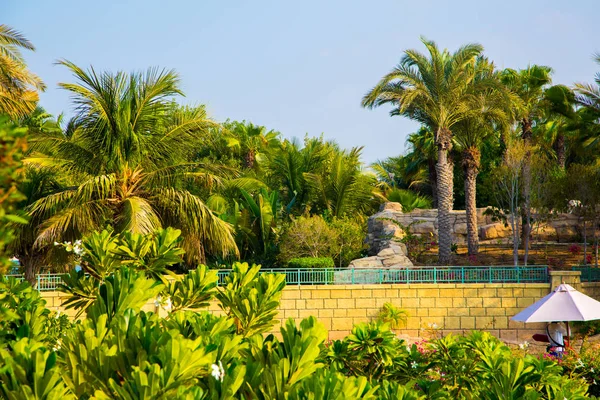 Beautiful palms park in Dubai