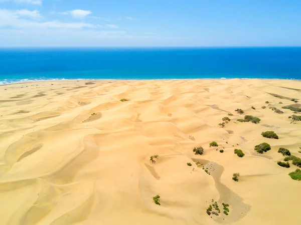 Hermoso desierto junto al océano Atlántico —  Fotos de Stock