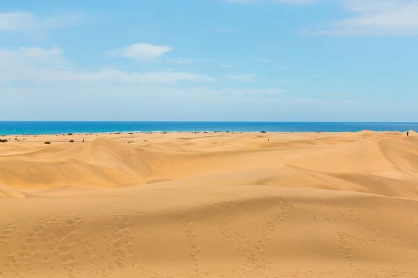 Pięknej pustyni przez ocean Atlantycki — Zdjęcie stockowe