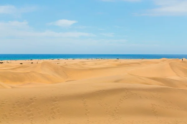 Belo deserto junto ao oceano Atlântico — Fotografia de Stock