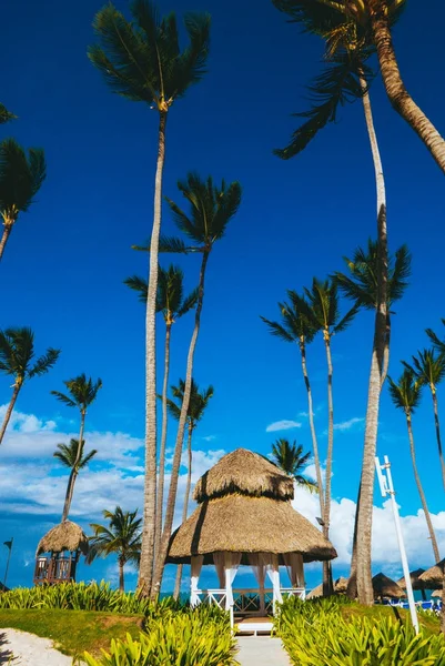 Cabana Bambu Numa Praia Tropical Num Paraíso — Fotografia de Stock