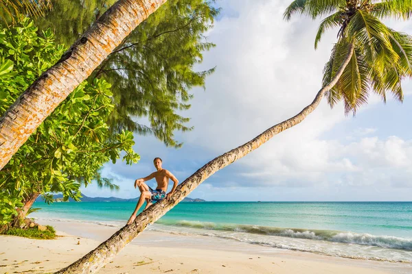 Молодой Человек Сидит Пальме Над Прекрасным Океаном Острове Маврикий Реюньон — стоковое фото