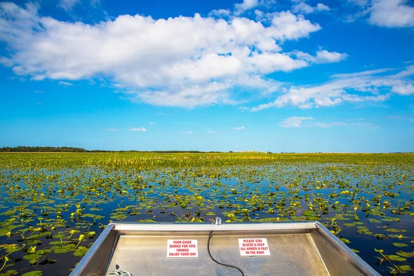 Airboat River Evergades Florida Looking Alligators — Stock Photo, Image