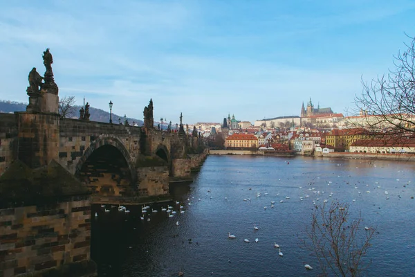 View Prague Castle Charles Bridge Czech Republic — Stock Photo, Image