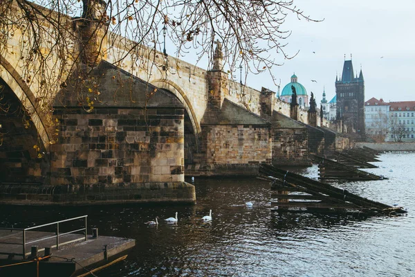 Solo Pedoni Ponte Carlo Pseudonimo Stone Bridge Kamenny Most Prague — Foto Stock