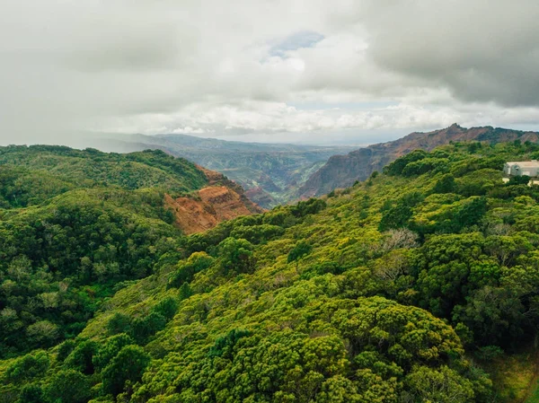 Beautiful green tropical jungles on the island of Kauai, Hawaii. Cliffs Na Pali from above.