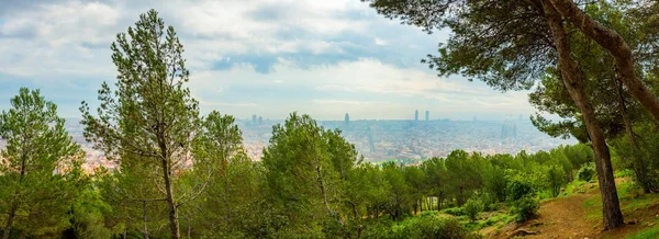 Vue Panoramique Barcelone Depuis Parc Guell Lors Une Journée Été — Photo