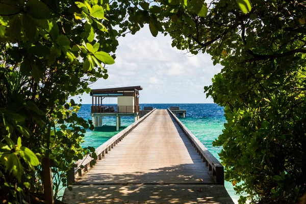 Güzel Doğa Giriş Veya Çıkış Için Maldivler Okyanusta Bir Iskelede — Stok fotoğraf