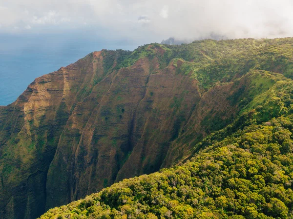 美丽的鸟瞰的考艾岛从上面与 的森林和悬崖的海洋 — 图库照片