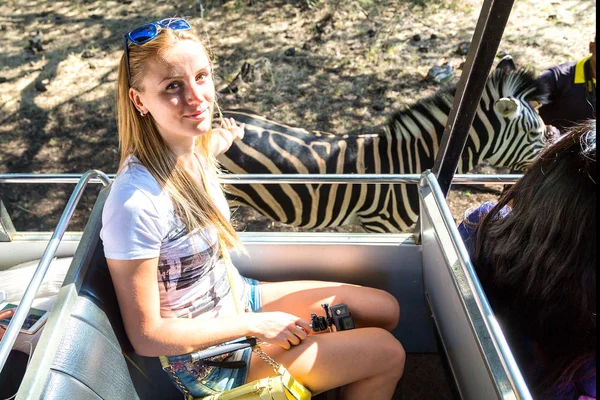 Menina Sentada Passeio Ônibus Safari Dirigindo Perto Zebras Parque Casela — Fotografia de Stock