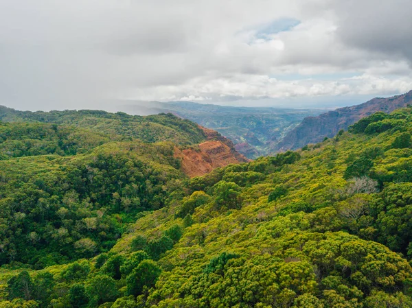 Belas Florestas Tropicais Verdes Ilha Kauai Havaí Falésias Pali Cima — Fotografia de Stock
