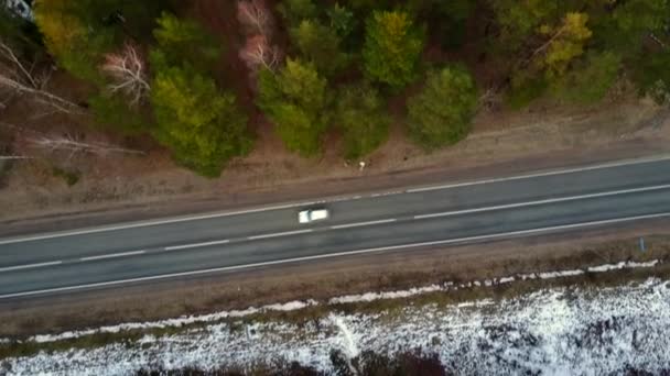 Aerial Video Deep Needles Forest Canada Road Crossing Even Cemetery — Stock Video