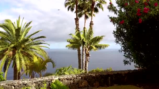 Bela Vista Aérea Ilha Tenerife Cima Com Palmas Vista Para — Vídeo de Stock