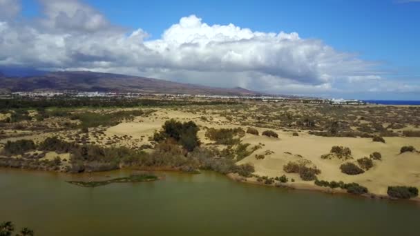 大加那利岛 Maspaloma 沙丘自然保护区惊人沙丘的空中全景 — 图库视频影像