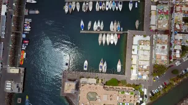 Impresionantes Vistas Aéreas Del Puerto Insular Gran Canaria Cerca Ciudad — Vídeos de Stock
