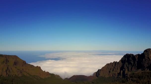Bergen Boven Wolken Canarische Eilanden Prachtige Fauna Natuur — Stockvideo