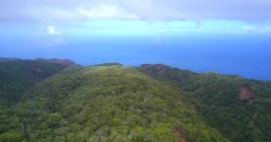 Kauai şaşırtıcı havadan izleme yukarıdan ormanlar ormanlarda, Pasifik Okyanusu ve Na Pali kayalıklarla ada