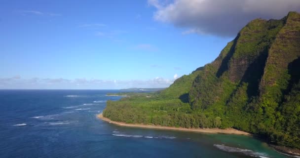 Szép Légi Felvétel Látványos Pali Tengerparton Kauai Hawaii — Stock videók