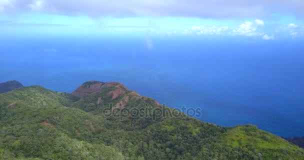 Astonishing Aerial Views Kauai Island Forests Jungles Pacific Ocean Pali — Stock Video