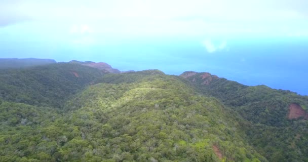 Zdumiewające Widoki Lotnicze Kauai Wyspa Góry Dżungli Lasów Pacific Ocean — Wideo stockowe