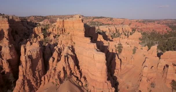 Antenowe Sosnowego Lasu Red Canyon Góry Pobliżu Bryce Canyon Red — Wideo stockowe