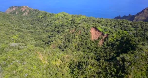 Paradis Tropical Exotique Hélicoptère Napali Côte Kauai Hawaï Falaises Océan — Video