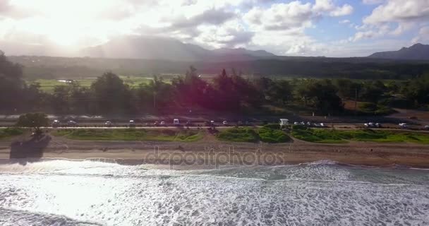 Incredibile Vista Aerea Della Natura Hawaii Spiaggia Onde Dell Oceano — Video Stock