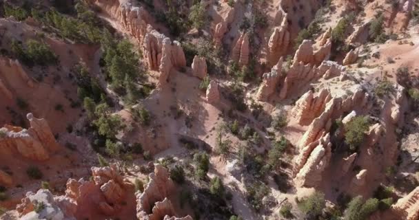 Мальовничі Пташиного Польоту Приголомшливі Червоного Пісковика Hoodoos Каньйон Брайс Штаті — стокове відео