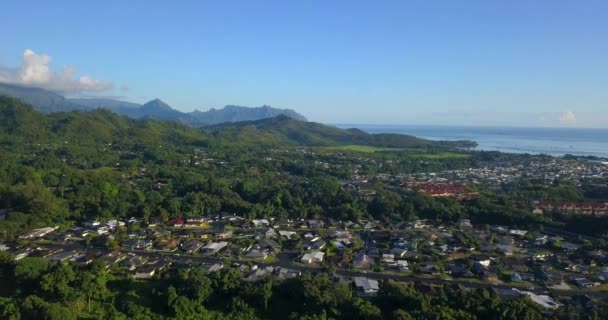 유명한 하이쿠 계단과 하이킹을 놀라운 오솔길 살아있는 놀라운 하와이 — 비디오