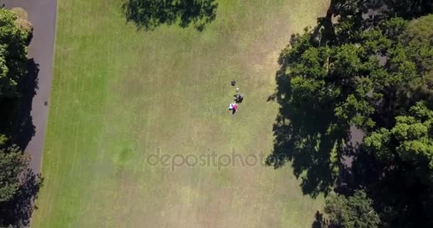 Прекрасний Вид Людей Лежать Парку Центрі Сіднея Парку Пікніка — стокове відео