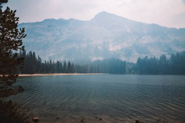 Yosemite Milli Parkı içinde orman yangınları sırasında duman