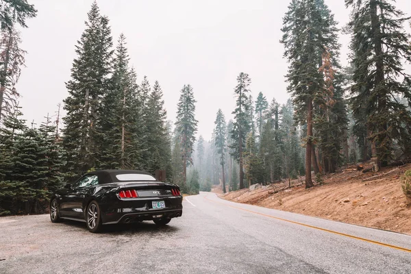 Μαύρο Ford Mustang Ταξιδεύουν Μέσα Από Εθνικό Πάρκο Γιοσέμιτι Καλιφόρνια — Φωτογραφία Αρχείου