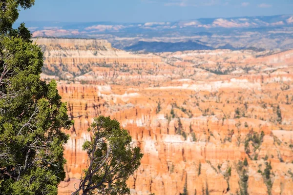 Bryce Canyon Panorama Sunset Point Bryce Canyon National Park Utah — Stock Photo, Image