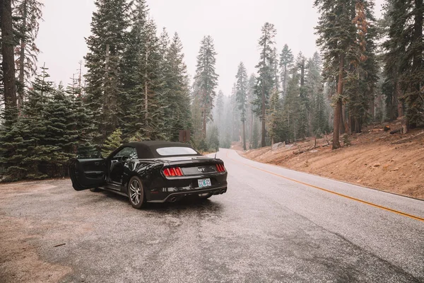 Μαύρο Ford Mustang Ταξιδεύουν Μέσα Από Εθνικό Πάρκο Γιοσέμιτι Καλιφόρνια — Φωτογραφία Αρχείου
