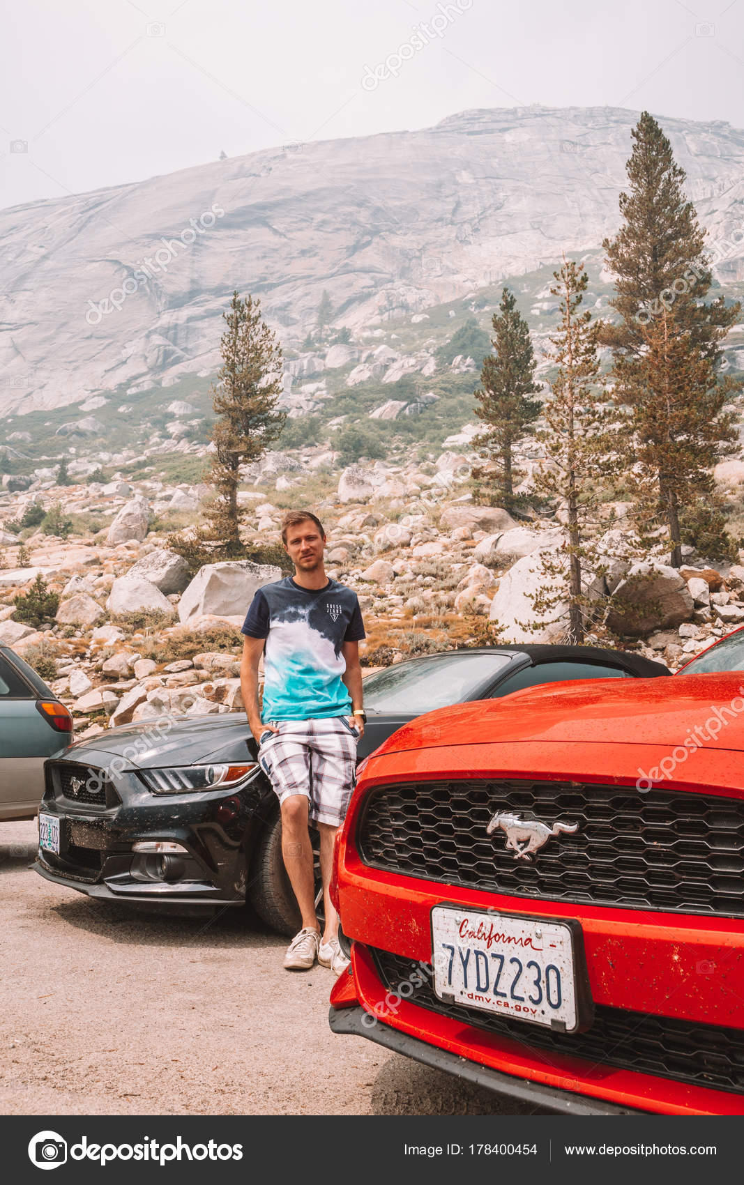 Wallpapers Mustang Cars Wallpaper Black Ford Mustang Travelling Images, Photos, Reviews