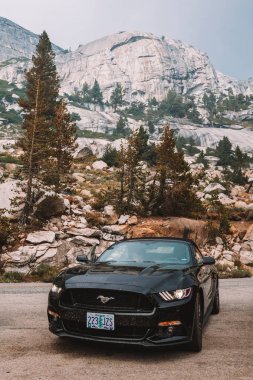 Siyah Ford Mustang Gt 5.0 California, ABD Yosemite Milli Parkı ile seyahat. 10 Ağustos 2017.