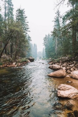 Güzel doğa Yosemite Milli Parkı ile ormanlar göller ve dağlar  