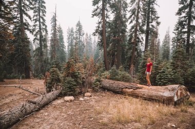 Keşfetmek ve göller ormanlar ve dağlarla, Yosemite Milli Parkı yakınındaki California yürüyüş ve genç kız 