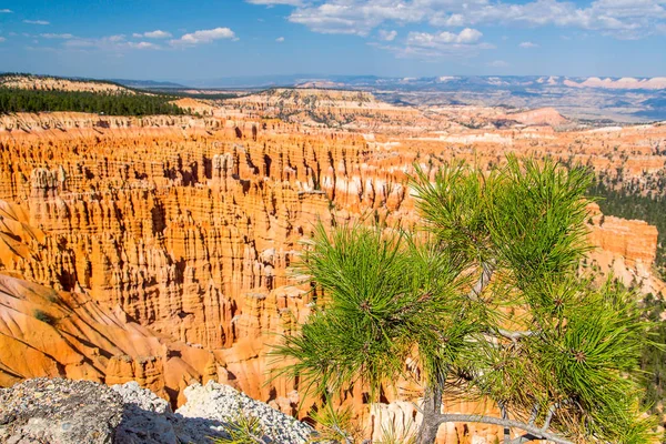 Panorama Zachód Punkt Bryce Canyon Parku Narodowego Bryce Canyon Utah — Zdjęcie stockowe