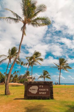 Kauai ruhu Usa Hawaii Adası Plajı'nda şaşırtıcı. 10 Nisan 2017.