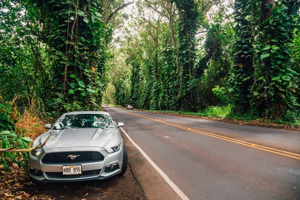 Ford Mustang Hawaii Adaları Ormanlar Ormanlar Ile Sürüş Kauai Hawaii — Stok fotoğraf